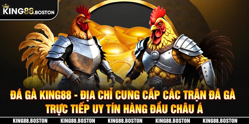 Đá Gà King88 - Nơi Diễn Ra Những Trận Gà Trực Tiếp Đẳng Cấp Châu Á