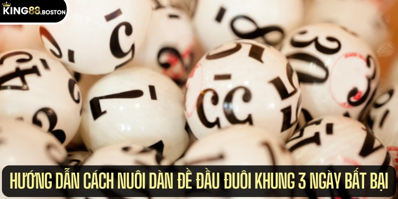 Hướng dẫn cách nuôi dàn đề đầu đuôi khung 3 ngày bất bại