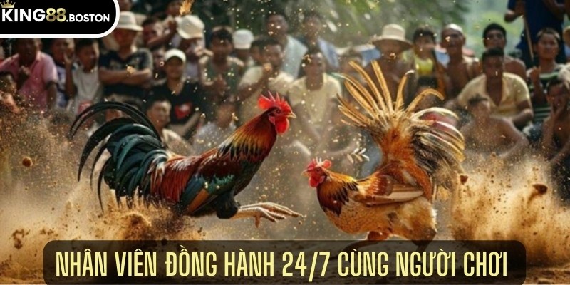 Hỗ trợ 24/7 khi giải trí