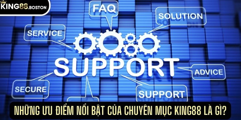 Những ưu điểm nổi bật của chuyên mục này là gì?