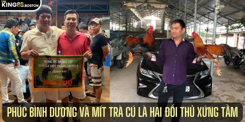 phúc bình dương và mít trà cú là hai đối thủ xứng tầm